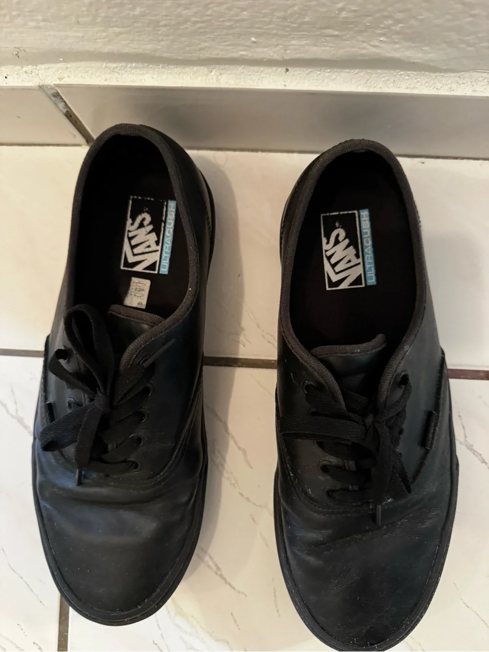 Vans Black Low-Top Skate Sneakers